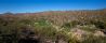 Stone Canyon Golf