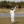CME Group Tour Championship 2020