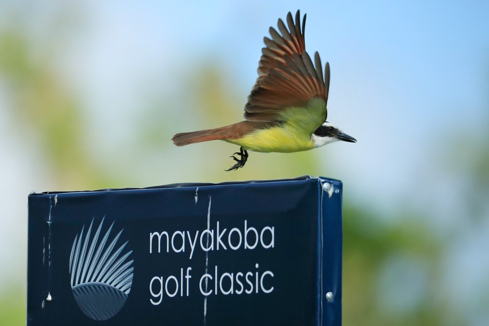 Mayakoba Golf Classic 2020