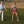 Golf Instruction Steve Scott