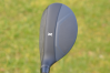 PXG 0211 hybrids
