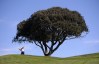 Brooks Koepka Farmers Insurance Open