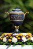 WGC-Workday Championship