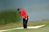 Tony Finau