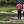 WGC-Workday Championship