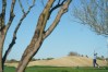 Waste Management Phoenix Open