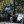 Golf: Tiger Woods Involved In Car Accident