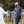 The Masters - Final Round
