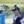 LPGA Drive On Championship