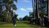 Dustin Johnson 2020 Masters