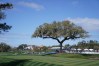 Players Championship