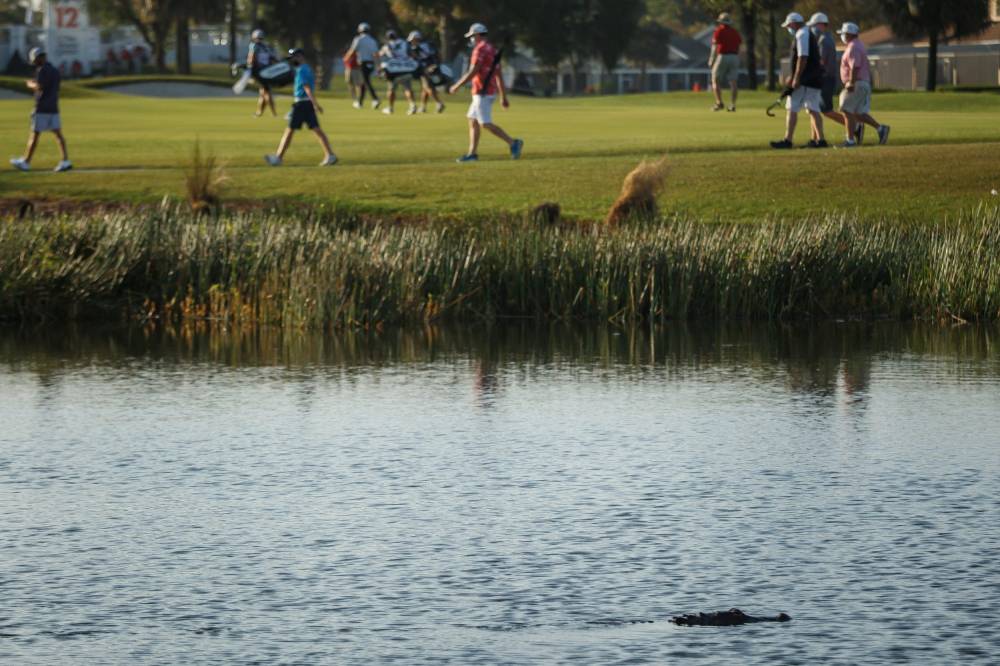Honda Classic