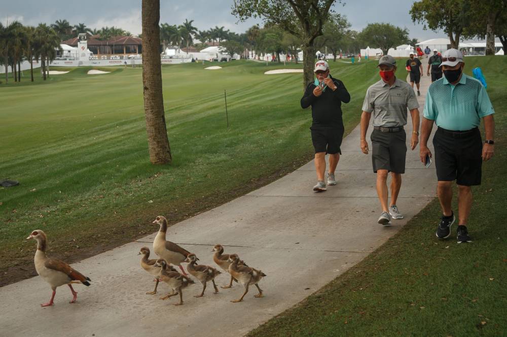 Honda Classic
