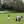 PGA: Masters Tournament - Final Round