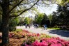 Augusta National flowers