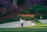 Masters
