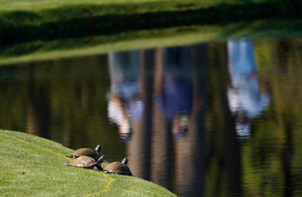 The Masters