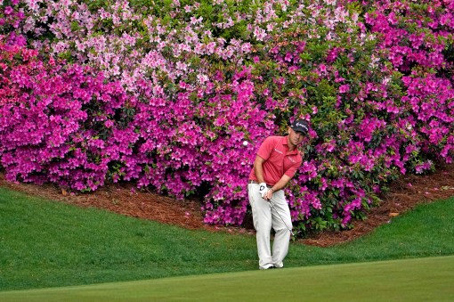 Chipping Contest