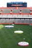 Ben Hill Griffin Stadium