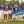 Duke women's golf