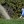 Kia Classic - Final Round
