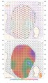 Grayhawk yardage book