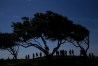 PGA Championship
