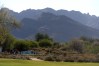 NCAA Womens Golf: NCAA Women's Golf Championship
