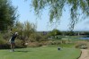 NCAA Women's Championship