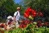 NCAA: Men's Golf Championship