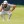 PGA: U.S. Open - Second Round