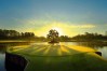 TPC Sawgrass