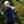 PGA: U.S. Open - First Round
