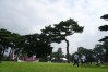 Olympics: Golf-Mens