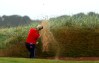 AIG Women's British Open