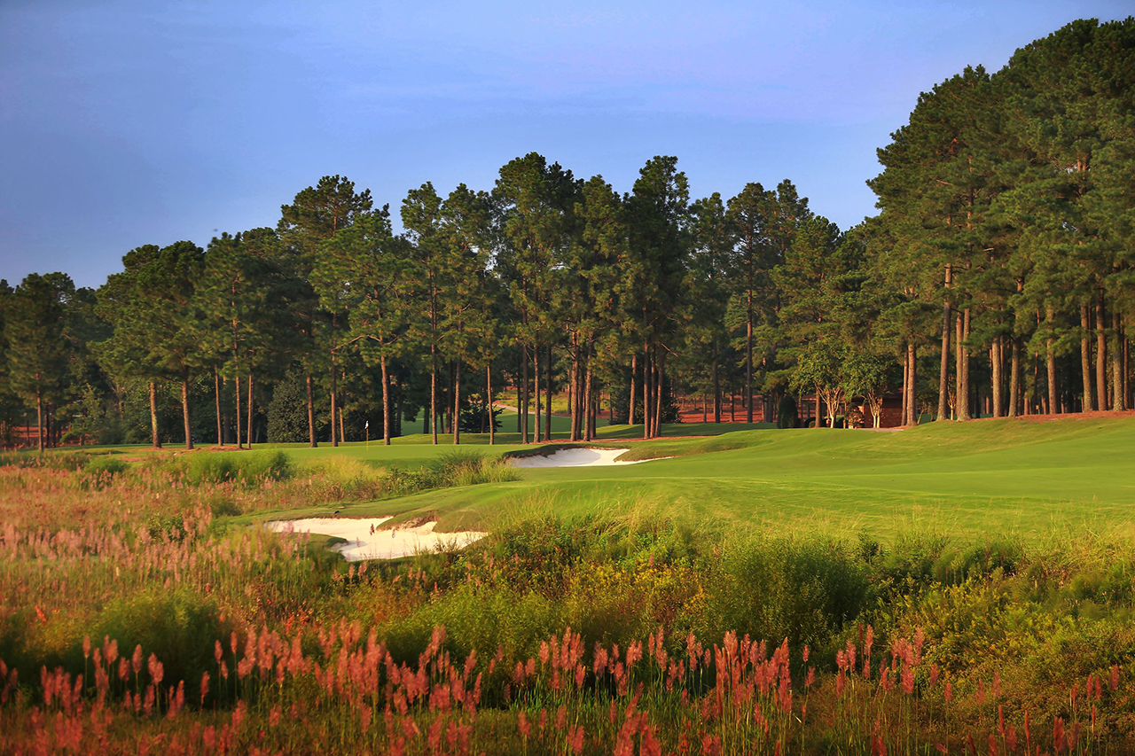 Pinehurst No. 8