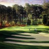 Pinehurst No. 7