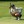 Olympics: Golf-Women