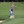 Jerry Gunthorpe, U.S. Senior Amateur