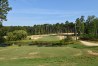 Southern Pines