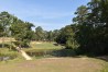 Southern Pines
