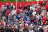 Ryder Cup 2021