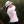 CME Group Tour Championship 2021