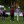 PNC Championship 2020