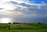 Farmers Insurance Open 2022