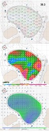 Monterey Peninsula Shore Course
