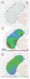 Monterey Peninsula Shore Course