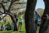 WM Phoenix Open 2022
