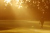 2022 Players Championship