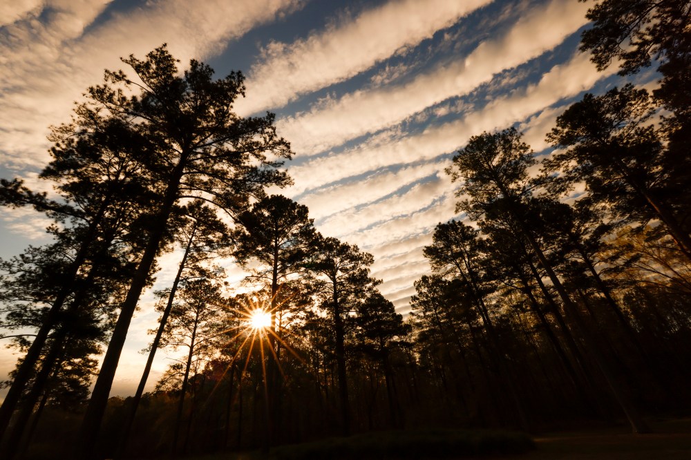 2022 Augusta National Women's Amateur